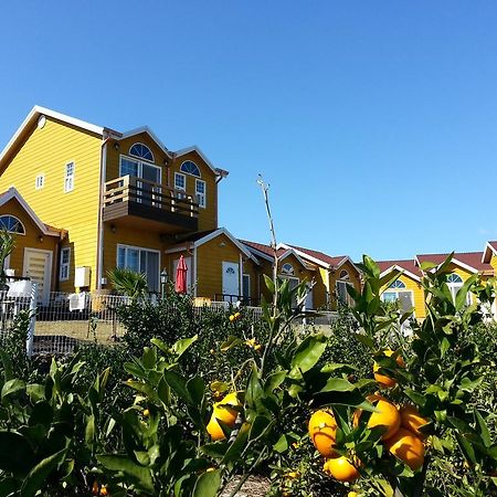 Healing House Villa Seogwipo Eksteriør bilde