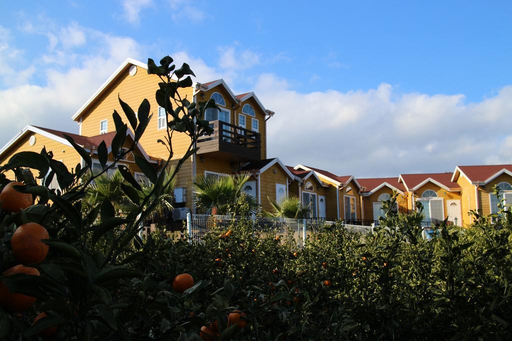 Healing House Villa Seogwipo Eksteriør bilde
